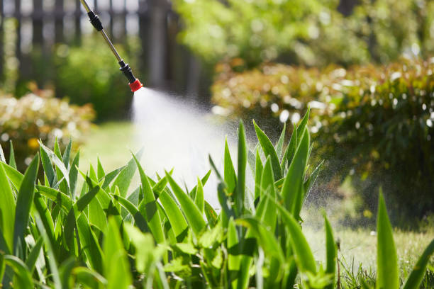 Tamper-Resistant Bait Stations for Rodents in Myrtle Creek