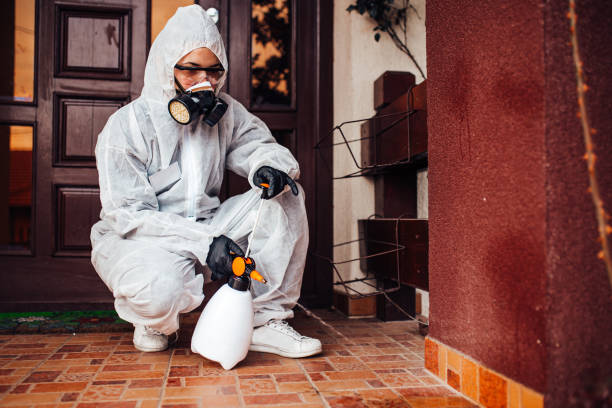 Attic and Crawl Space Rodent Treatment in Myrtle Creek
